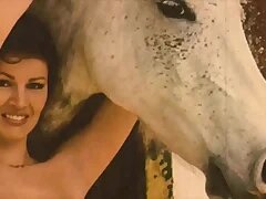 New Porn Videos 239