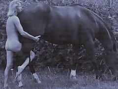 Porn Videos 47
